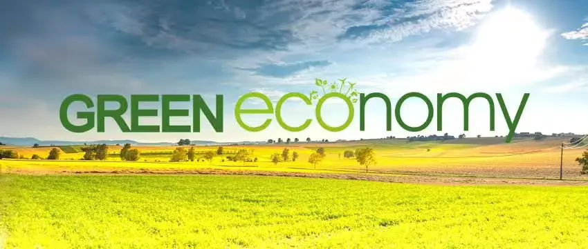 Green Economy Will Drive Diversification, Create Jobs – SEC DG